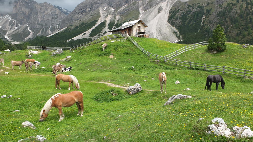 Garni Le Chalet Santa Cristina Val Gardena Dış mekan fotoğraf