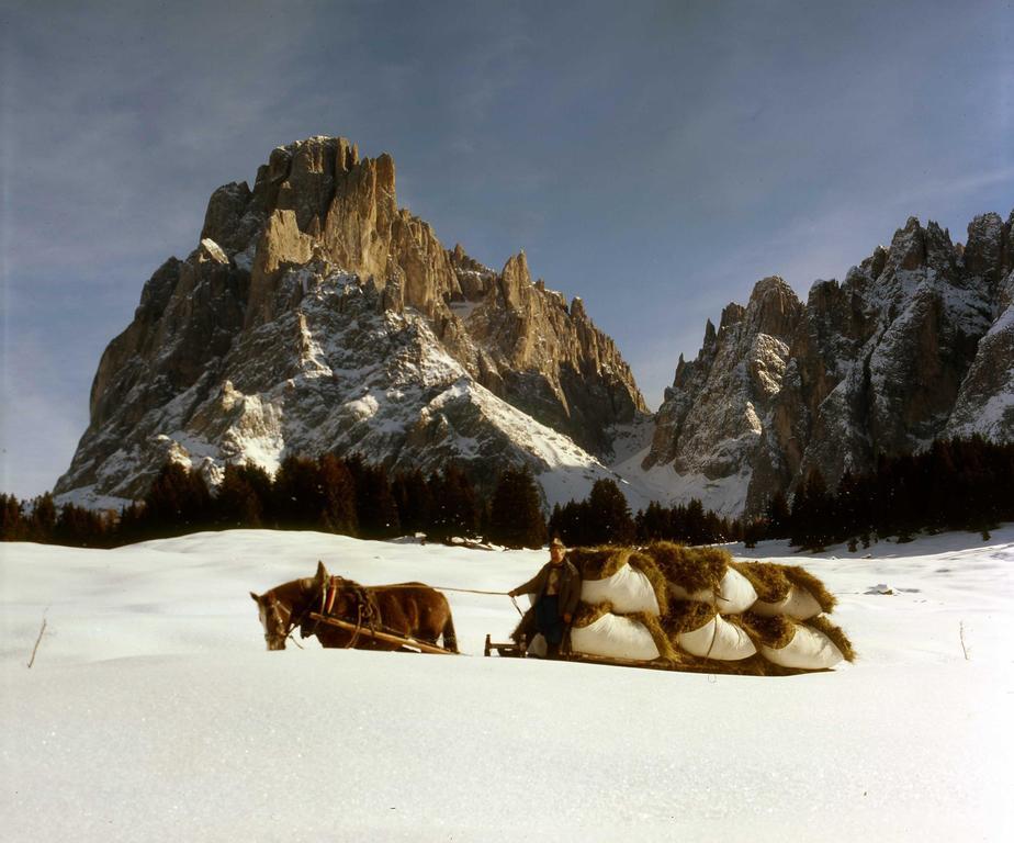 Garni Le Chalet Santa Cristina Val Gardena Dış mekan fotoğraf