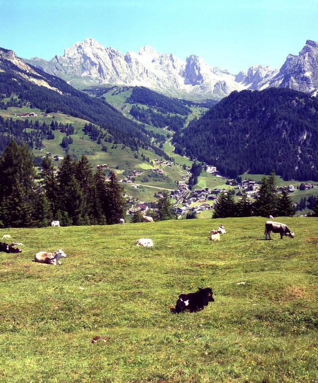 Garni Le Chalet Santa Cristina Val Gardena Dış mekan fotoğraf