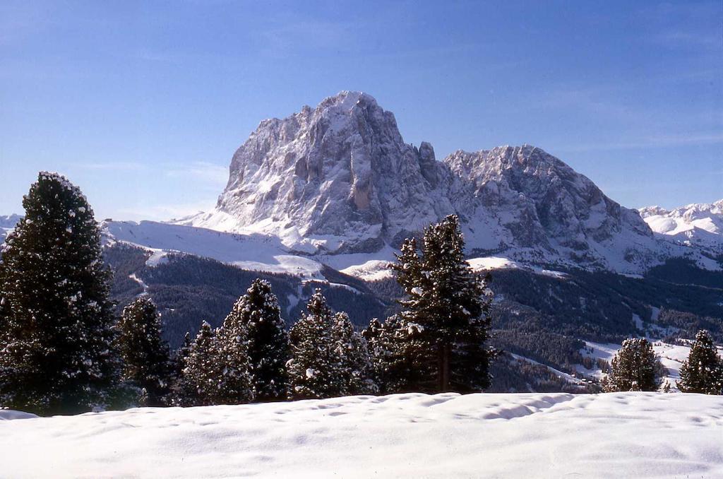 Garni Le Chalet Santa Cristina Val Gardena Dış mekan fotoğraf