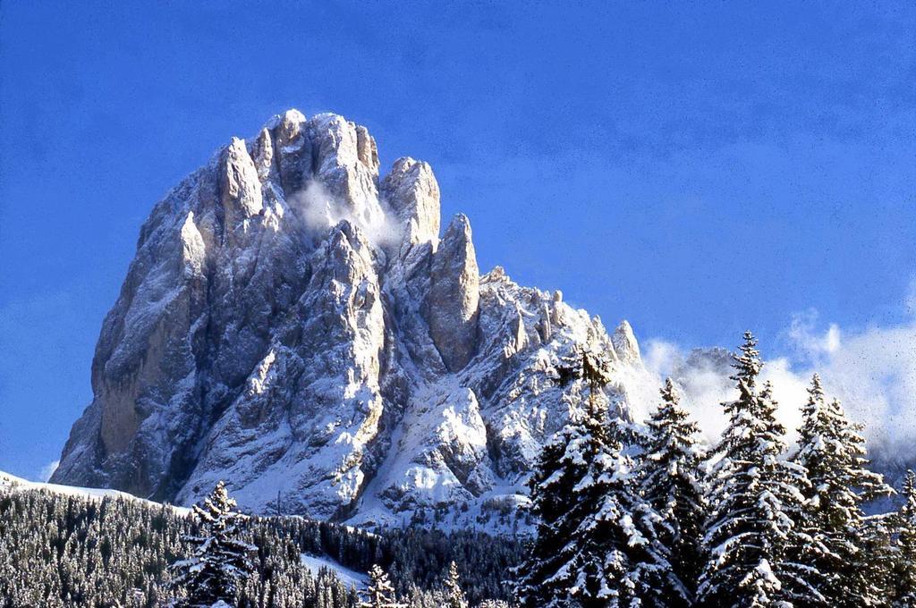 Garni Le Chalet Santa Cristina Val Gardena Dış mekan fotoğraf
