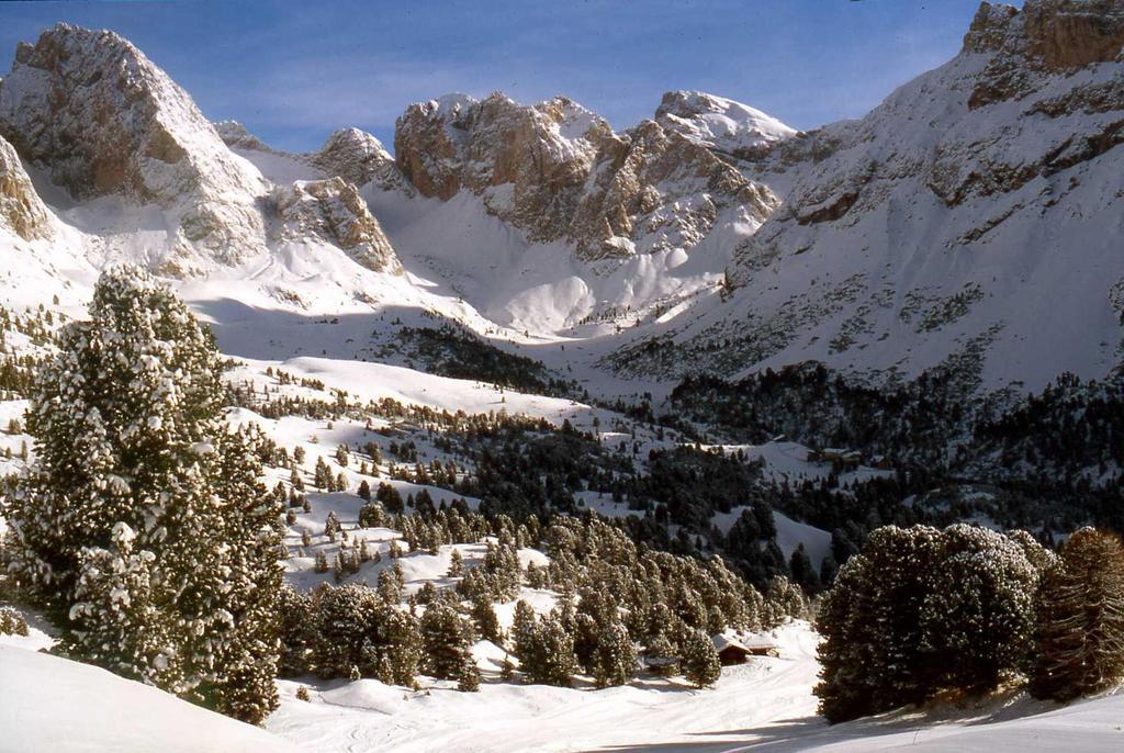 Garni Le Chalet Santa Cristina Val Gardena Dış mekan fotoğraf