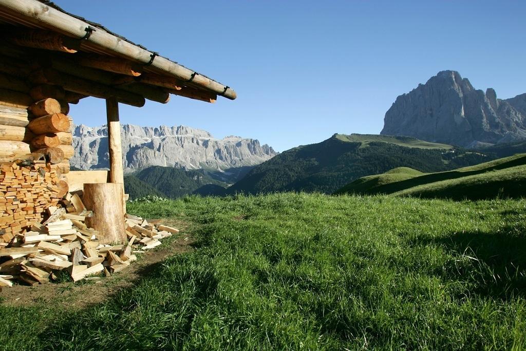 Garni Le Chalet Santa Cristina Val Gardena Dış mekan fotoğraf